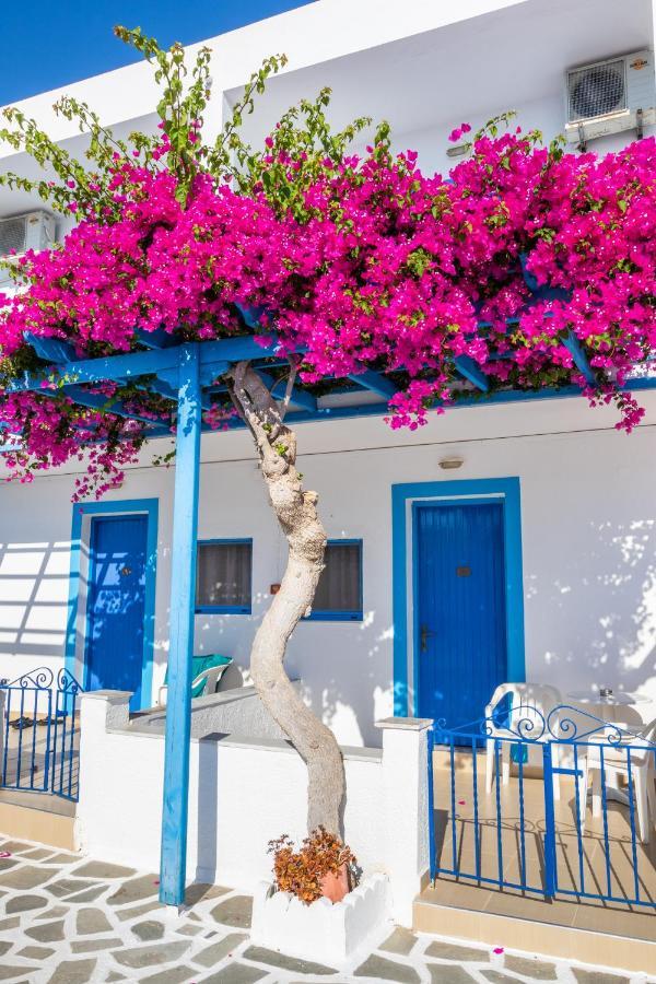 Castelia Bay Hotel أموبي المظهر الخارجي الصورة
